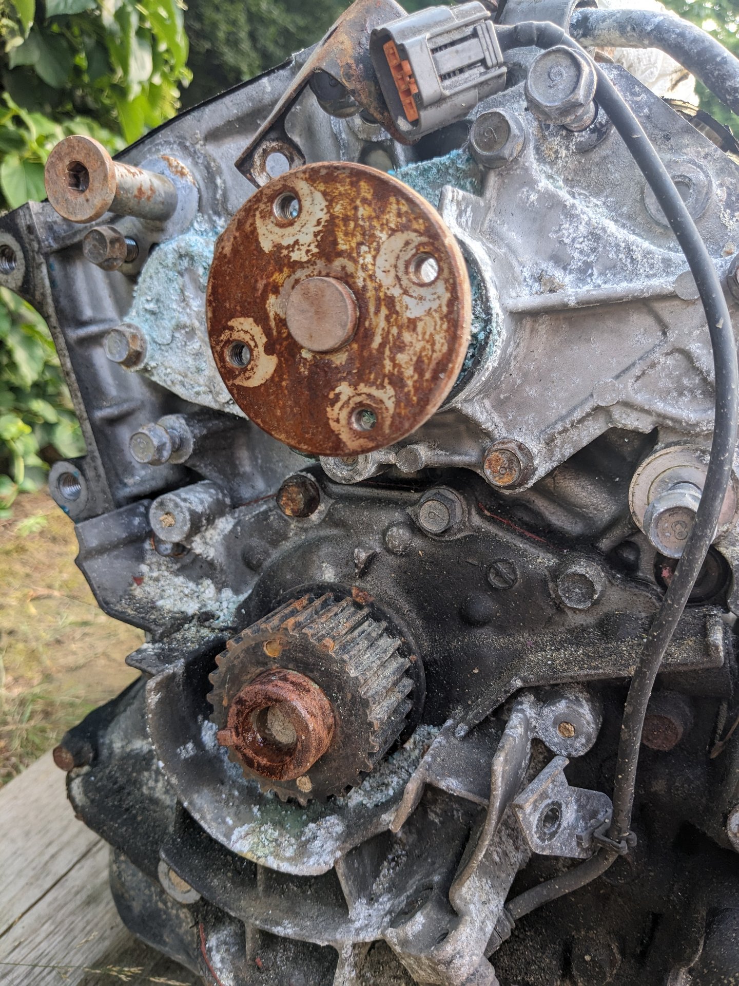 PXL_20250714_170426743