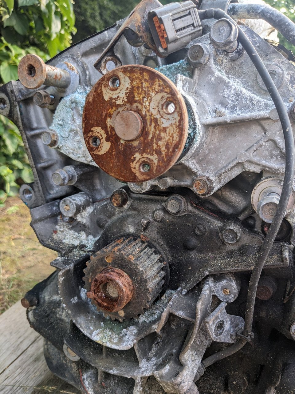 PXL_20250714_170426743