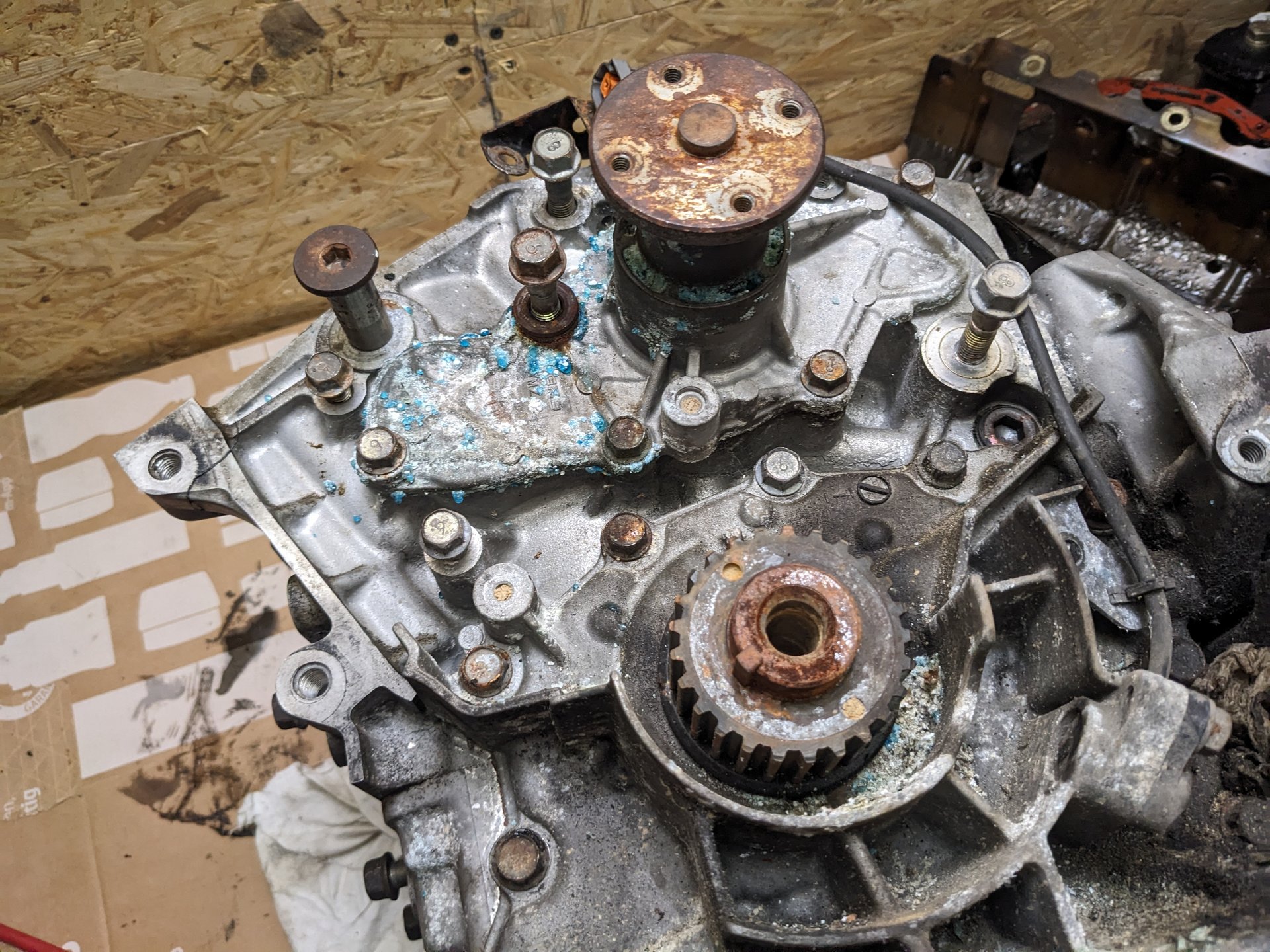 PXL_20250806_103935617