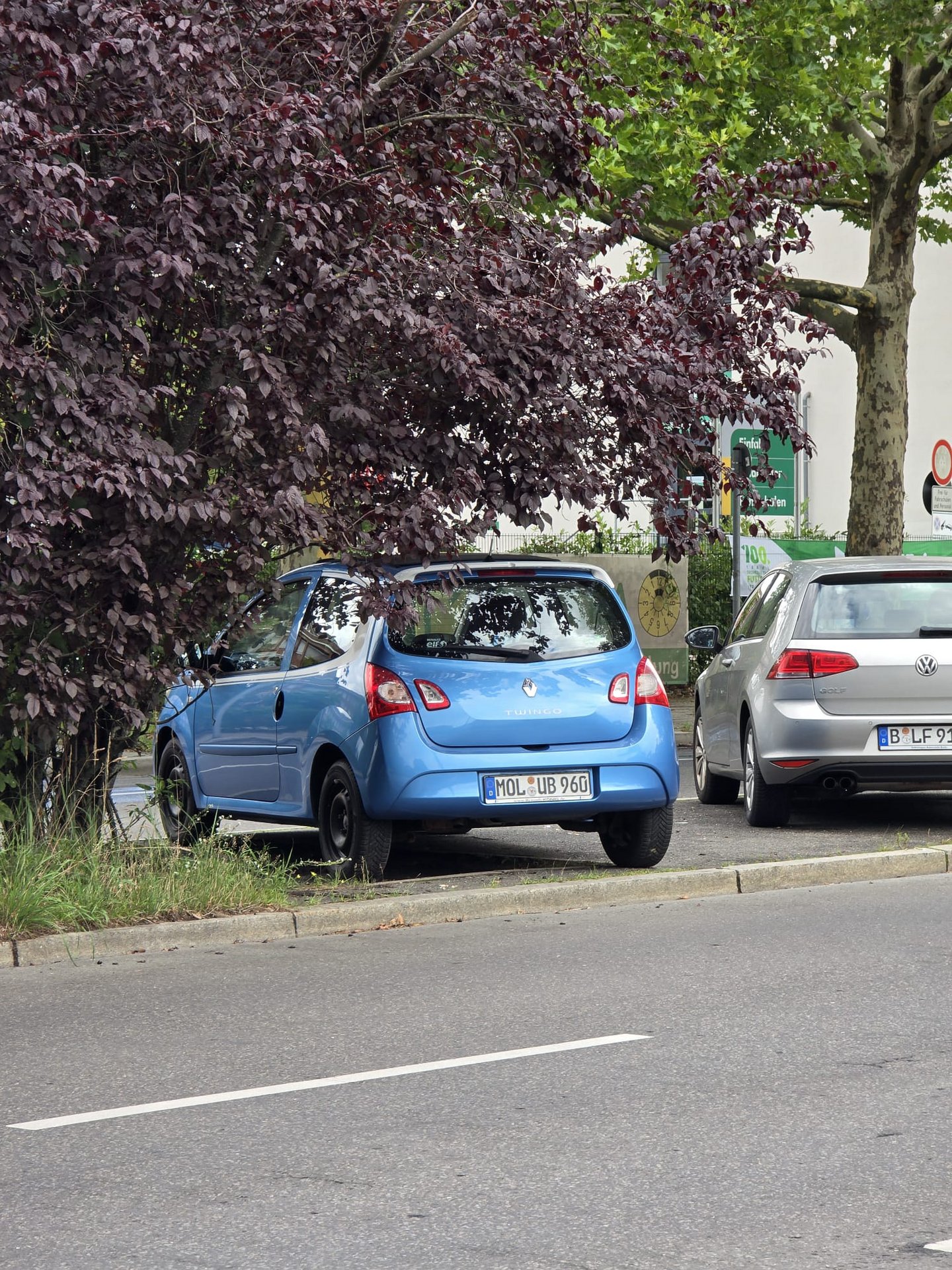 WhatsApp Image 2025-08-02 at 10.16.31